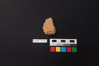 陶片藏品圖，第2張