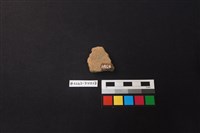 陶片藏品圖，第2張