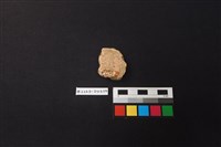 陶片藏品圖，第2張