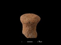 陶蓋鈕藏品圖，第1張