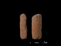 鼎足藏品圖，第1張