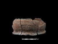 陶罐藏品圖，第1張