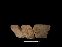 陶罐藏品圖，第2張