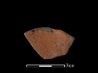 陶片藏品圖，第1張