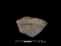 陶片藏品圖，第2張