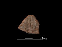 陶片藏品圖，第1張