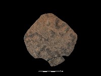 陶片藏品圖，第2張