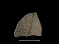 陶片藏品圖，第2張