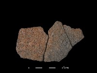 陶片藏品圖，第2張