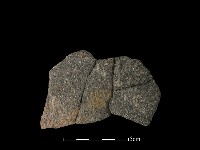 陶片藏品圖，第2張