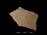 陶片藏品圖，第1張