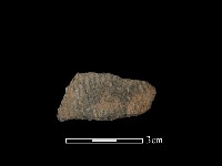 陶片藏品圖，第1張