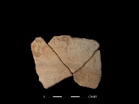 陶片藏品圖，第1張