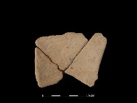 陶片藏品圖，第2張