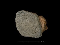 陶片藏品圖，第2張