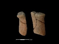 獸足藏品圖，第1張