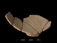 豆形器藏品圖，第1張