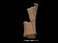 豆形器藏品圖，第1張