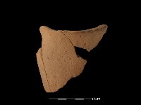 連杯形器藏品圖，第1張