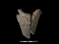 連杯形器藏品圖，第2張