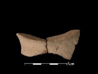 豆形器藏品圖，第2張