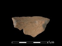 陶片藏品圖，第1張