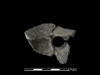 豆形器藏品圖，第2張