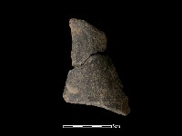 陶片藏品圖，第2張