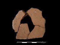 豆形器藏品圖，第2張