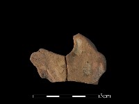 陶片藏品圖，第2張