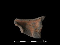 豆形器藏品圖，第2張