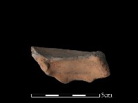 豆形器藏品圖，第1張