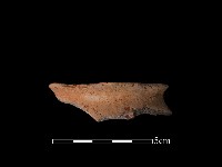 豆形器藏品圖，第1張