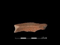 豆形器藏品圖，第2張