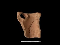 連杯形器藏品圖，第2張