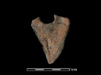 陶片藏品圖，第2張