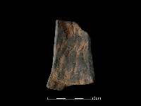 陶片藏品圖，第2張