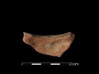 豆形器藏品圖，第2張