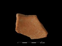 豆形器藏品圖，第2張