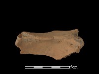 豆形器藏品圖，第2張