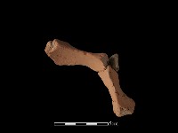 連杯形器藏品圖，第2張