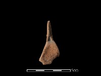 連杯形器藏品圖，第3張