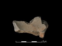 連杯形器藏品圖，第2張