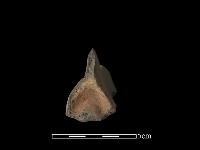 連杯形器藏品圖，第3張