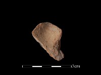 連杯形器藏品圖，第2張