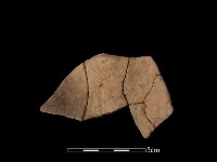 陶片藏品圖，第2張