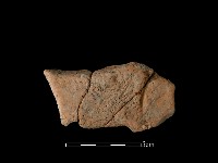 連杯形器藏品圖，第1張