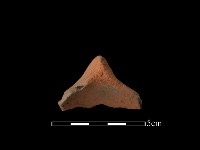 連杯形器藏品圖，第2張