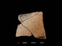 陶片藏品圖，第2張