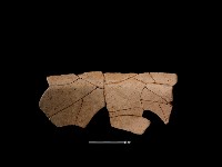 陶盆藏品圖，第3張